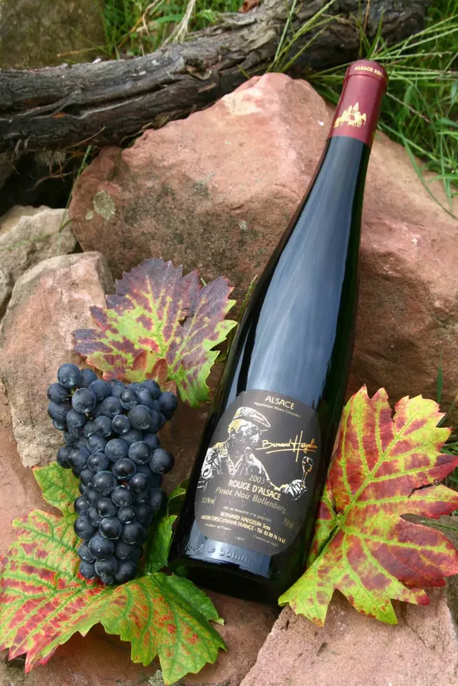photo-vin-15